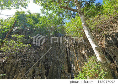 從岩石觀景點(岩石觀景點)看到的景色 從岩石觀景點(岩石觀景點)看到的景色 138057092