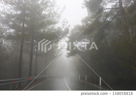 Misty Curving Road Through Pine Forest Misty Curving Road Through Pine Forest 138058818