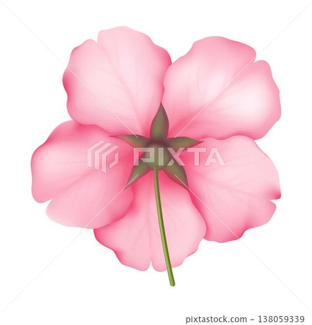 Realistic Pink Flower Illustration for Design Realistic Pink Flower Illustration for Design 138059339