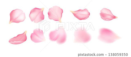 Set of Pink Petals on White Background Set of Pink Petals on White Background 138059350