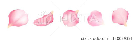Delicate Pink Petals Collection on White Delicate Pink Petals Collection on White 138059351