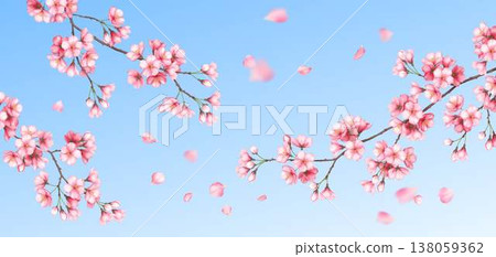 Pink Cherry Blossoms on Bright Blue Sky Pink Cherry Blossoms on Bright Blue Sky 138059362