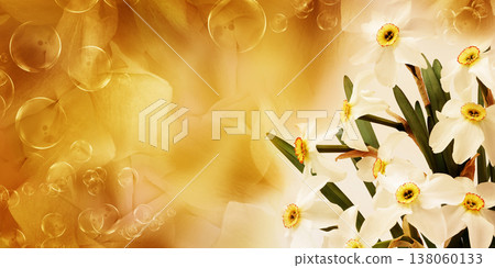 Bouquet of   white daffodil flowers. Floral spring background. Close-up. Nature. 138060133