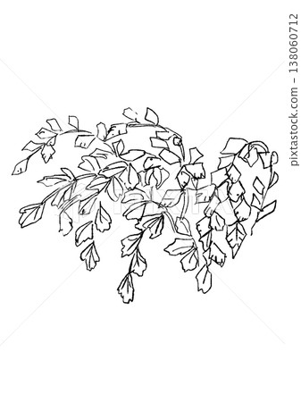 A hand-drawn line art illustration of lush Adiantum leaves. 138060712