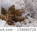 Close-up of fallen leaves on the snow; a quiet winter nature scene; abstract texture. 138060728
