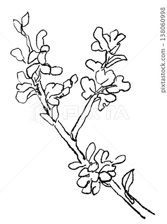 A hand-drawn line art illustration of a blooming Judas tree. A hand-drawn line art illustration of a blooming Judas tree. 138060998
