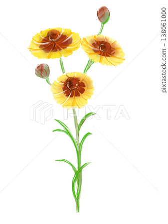 A hand-painted watercolor illustration of blooming Coreopsis flowers. 138061000