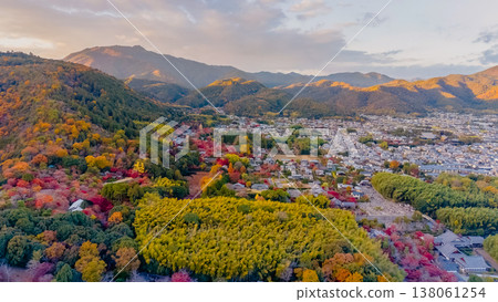 NOV 28 2025 Captures Sagano Bamboo Forest Pathway From Above 138061254