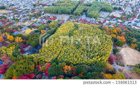 NOV 28 2025 Captures Sagano Bamboo Forest Pathway From Above 138061313