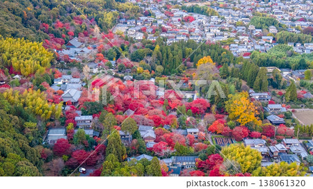 NOV 28 2025 Sagano Hills Covered In Vibrant Autumn Red And Gold NOV 28 2025 Sagano Hills Covered In Vibrant Autumn Red And Gold 138061320