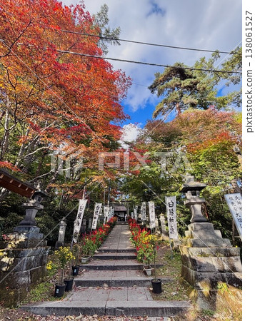 草津溫泉的秋天：白根神社的秋葉 138061527