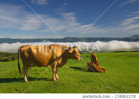 Ranch of Aso Ranch of Aso 138062278