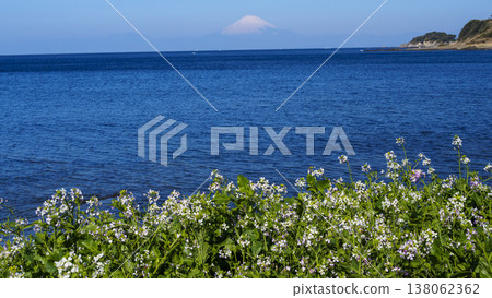 三浦半島和田長濱的冬天 138062362