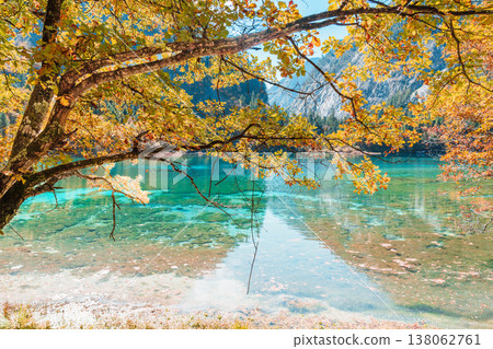 Scenery Jiuzhaigou national park in Sichuan, China. Beautiful Five Flower Lake in Autumn season. Famous Landmark and Vacation near Chengdu, China. Asia travel concept Scenery Jiuzhaigou national park in Sichuan, China. Beautiful Five Flower Lake in Autumn season. Famous Landmark and Vacation near Chengdu, China. Asia travel concept 138062761