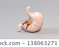 Miniature Man Sitting on Stomach Model Holding Bottle Symbolizing Alcohol Impact on Digestive System 138063271
