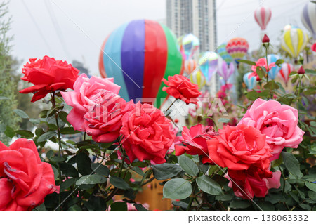 March 21 2026 Vibrant roses bloom beneath colorful rising hot air balloons March 21 2026 Vibrant roses bloom beneath colorful rising hot air balloons 138063332