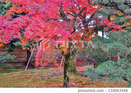 Serene Zen Garden at Myoho in Temple Kyoto Nov 28 2025 Serene Zen Garden at Myoho in Temple Kyoto Nov 28 2025 138063486