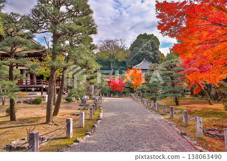Serene Zen Garden at Myoho in Temple Kyoto Nov 28 2025 Serene Zen Garden at Myoho in Temple Kyoto Nov 28 2025 138063490