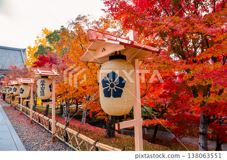 Washi paper lamp with red maple autumn glow Nov 28 2025 Washi paper lamp with red maple autumn glow Nov 28 2025 138063551