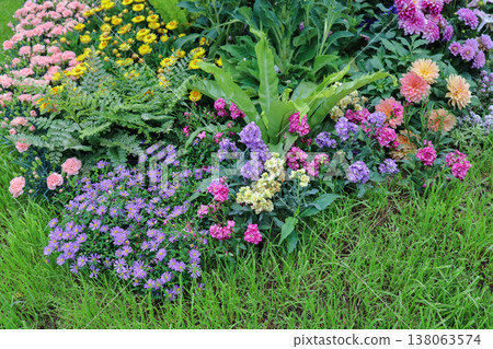 March 21 2026 Colorful Flower Bed in Lush Garden With Mixed Blooms 138063574