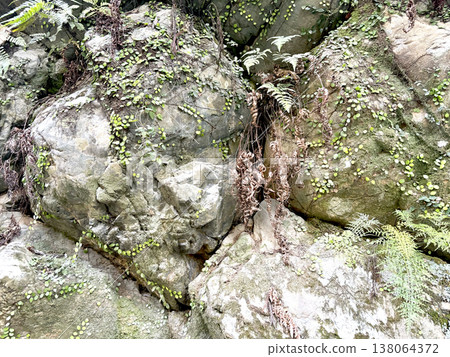 A natural landscape of rocky surfaces covered with moss and plants. 138064372