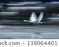 Swans flying over the water at Natsume Weir in Tono-cho. 138064401