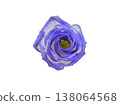 Turkish bellflower cutout material 138064568