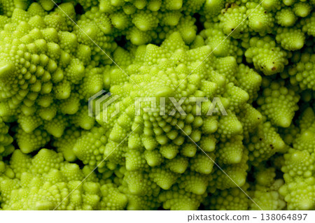 Close-up of the fractal structure of Romanesco broccoli Close-up of the fractal structure of Romanesco broccoli 138064897