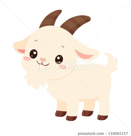 Cute Baby Goat Farm Animal 138065157