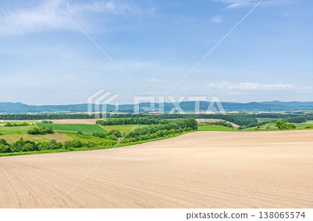 Summer in Hokkaido: A beautiful summer landscape around Biei, showcasing the contrast between green and brown (image). Summer in Hokkaido: A beautiful summer landscape around Biei, showcasing the contrast between green and brown (image). 138065574