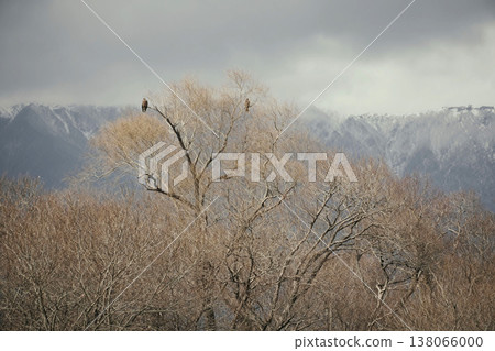 白雪皚皚的平良山脈和一隻風箏 白雪皚皚的平良山脈和一隻風箏 138066000