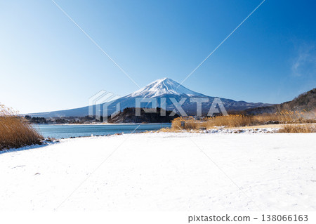 View of Mount Fuji from the shores of Lake Kawaguchi in early spring at Kawaguchiko Oishi Park. View of Mount Fuji from the shores of Lake Kawaguchi in early spring at Kawaguchiko Oishi Park. 138066163