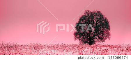 Lonely Tree In Snow-covered Field In Winter Frosty Day. Fluffy Trees In Snow. Minimalism In Winter Landscape Lonely Tree In Snow-covered Field In Winter Frosty Day. Fluffy Trees In Snow. Minimalism In Winter Landscape 138066374