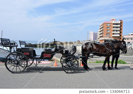 野島崎燈塔公園的馬車 野島崎燈塔公園的馬車 138066711