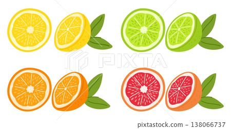 Fruit slices. Juicy citrus. Grapefruit and orange. Half of lemon. Lime with leaves. Refreshing lemonade. Food product. Sweet tangerine part. Natural fresh citron isolated pieces vector set 138066737