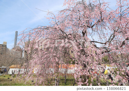 Tsurumai Park, Showa Ward, Nagoya City, Aichi Prefecture Tsurumai Park, Showa Ward, Nagoya City, Aichi Prefecture 138066821