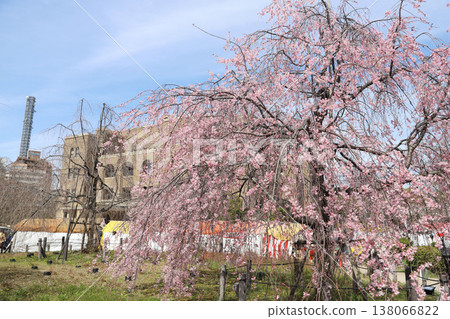 愛知縣名古屋市昭和區鶴舞公園 愛知縣名古屋市昭和區鶴舞公園 138066822