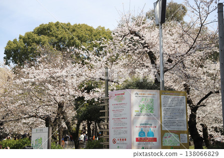 愛知縣名古屋市昭和區鶴舞公園 愛知縣名古屋市昭和區鶴舞公園 138066829