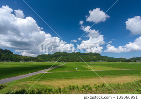 Summer countryside scenery 138066951