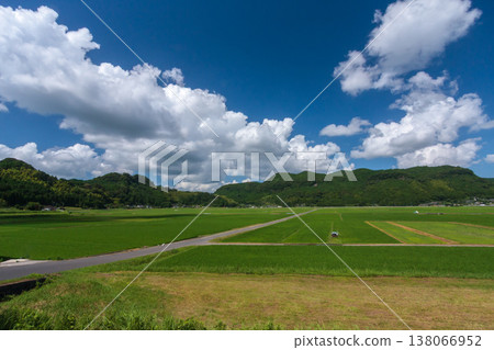 Summer countryside scenery 138066952