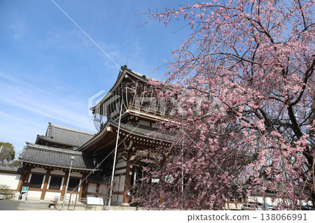 愛知縣名古屋市中區信州大谷流名古屋支寺東支寺 愛知縣名古屋市中區信州大谷流名古屋支寺東支寺 138066991