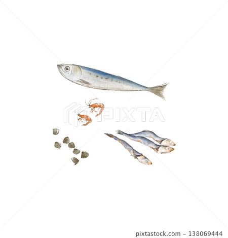 含鈣魚類和貝類的插圖 138069444