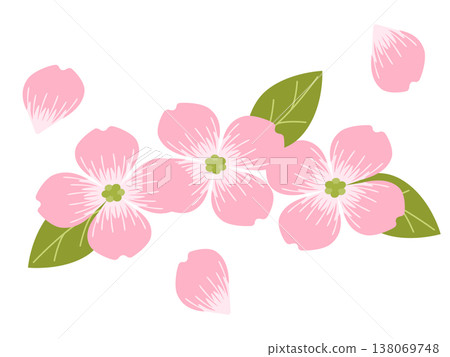 山茱萸圖標 山茱萸圖標 138069748