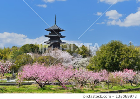 發光在藍天的五層塔 138069978