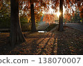 The sunrise near the entrance to the Metasequoia Forest in Mizumoto Park during the autumn foliage season. 138070007
