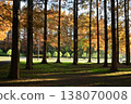 Mizumoto Park's "Metasequoia Forest" during the autumn foliage season 138070008