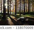 Near the benches in the Metasequoia Forest at Mizumoto Park during the autumn foliage season 138070009