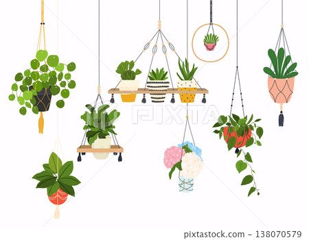 Set of macrame hangers for plants growing in pots. Flowerpot isolated objects, houseplant flower pot collection. Set of macrame hangers for plants growing in pots. Flowerpot isolated objects, houseplant flower pot collection. 138070579