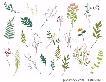 Floral elements. Hand drawn design elements. Collection of spring flowers, leaves, dandelion, grass. Design for invitation, wedding or greeting cards. Floral elements. Hand drawn design elements. Collection of spring flowers, leaves, dandelion, grass. Design for invitation, wedding or greeting cards. 138070649