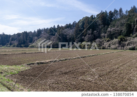 Field Field 138070854